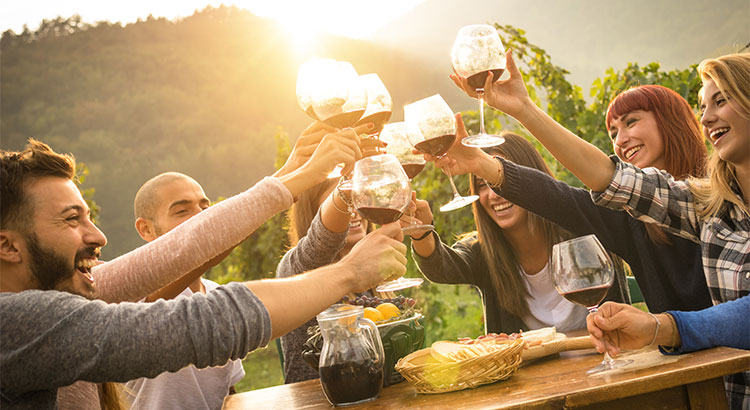 people toasting with wine glasses