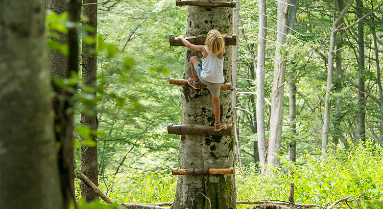 Demand for Homes to Buy Continues to Climb