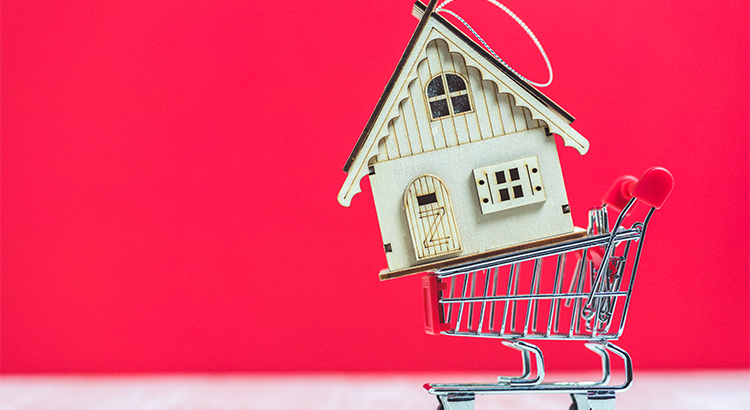 house in a shopping cart